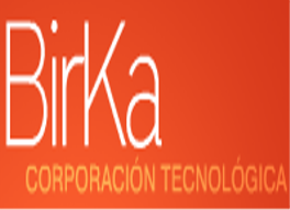Birka Consultores